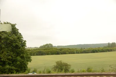 DSC_2521 (Large).JPG